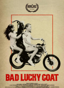 如何利用站外SEO影响因素提升域名权威度